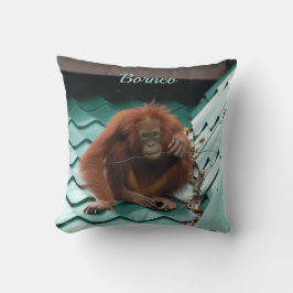 Almofada Epe de Orangutan Selvagem em Telhado em Bornéu Fot