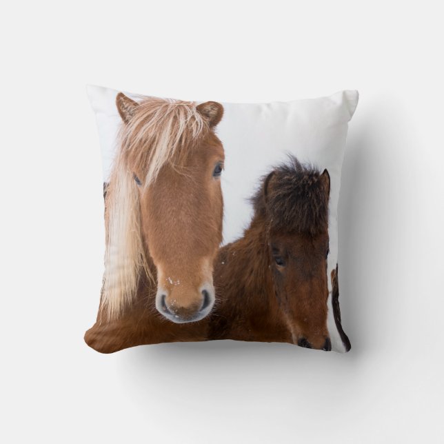 Almofada Equídeos Cutâneos Islandeses Juntos (Frente)