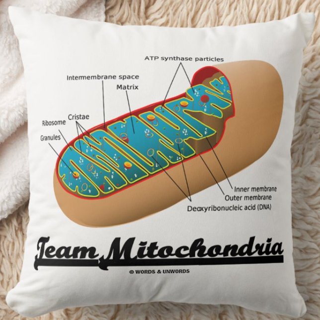 Almofada Equipe Mitocôndria (Humor Mitocondrion) (Team Mitochondria throw pillow for any exerciser who knows that mitochondria power ourselves!)