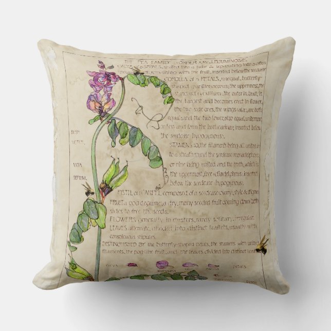 Almofada Ervilha doce das coisas efêmeras (Frente)