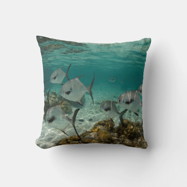 Almofada Escola de Peixes Permitidos (Frente)