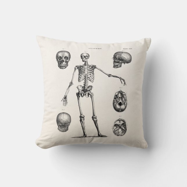 Almofada Esqueletos antigos de esqueleto da anatomia dos (Frente)