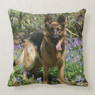 Almofada Estabelecimento do german shepherd