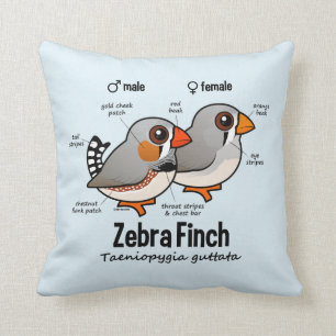 Almofada Estatísticas do passarinho de zebra