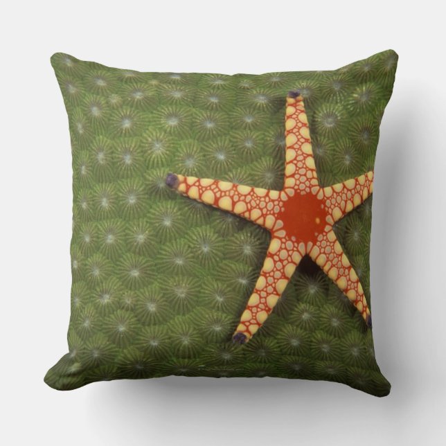 Almofada Estrela de mar (Frente)