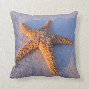 Almofada Estrela do mar na areia branca