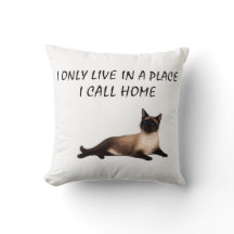 Eu Só Vivo Em Um Lugar Que Chamo de Lar Gato Siame