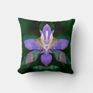 Almofada EUA, Colorado, Condado de Boulder