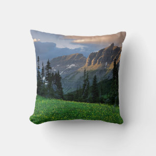 Almofada EUA, Montana, Parque Nacional Glacier, Logan Pass
