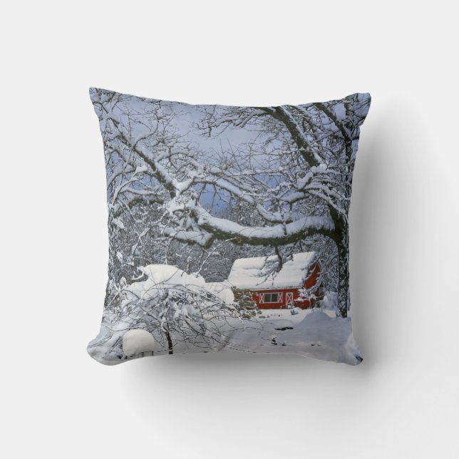 Almofada EUA, Oregon, Condado de Clackamas. Neve fresca (Frente)