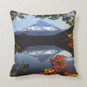 Almofada EUA, Oregon, Floresta Nacional do Monte Hood.