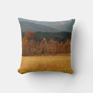 Almofada EUA, Tennessee. Cades Cove nas Smoky Mountain