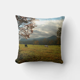 Almofada EUA, Tennessee. Cavalos no Vale de Cades Cove