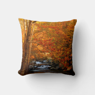 Almofada EUA, Tennessee. Rushing Mountain Creek 2