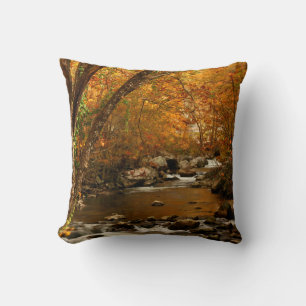 Almofada EUA, Tennessee. Rushing Mountain Creek 3