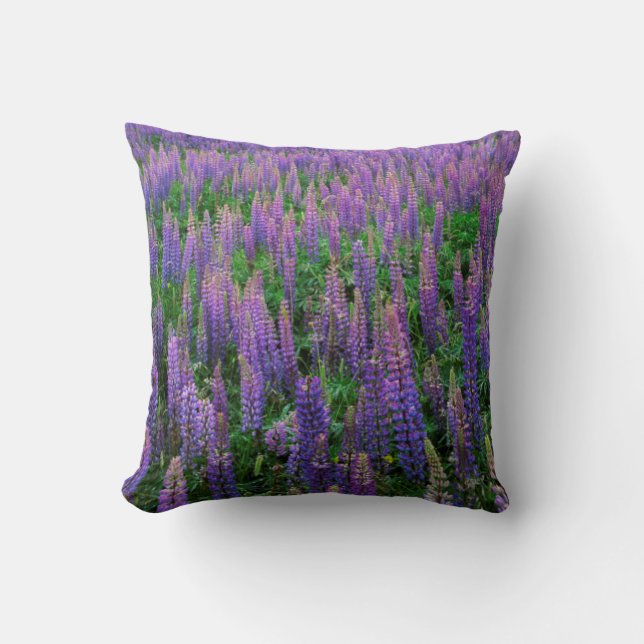 Almofada EUA, Washington, Condado de Clallam, Lupine (Frente)