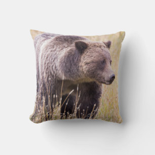 Almofada EUA, Wyoming, Parque Nacional de Yellowstone, Urso