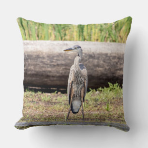 Almofada Excelente Blue Heron em pé no lago Champlain