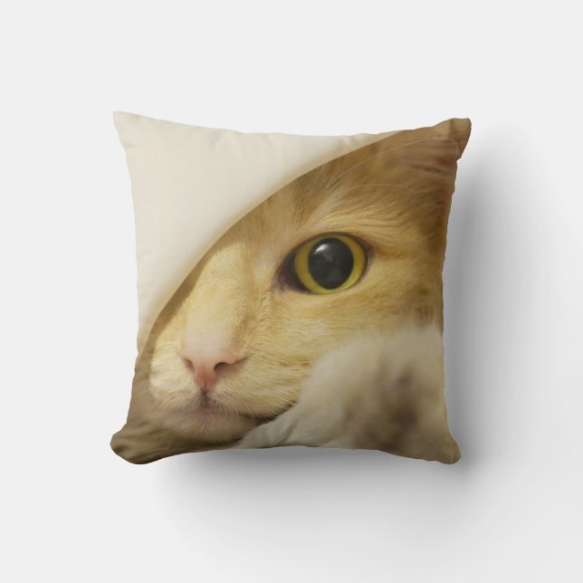 Almofada Extração de Gato Amarelo (Frente)