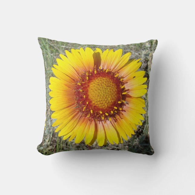 Almofada F17b Flor Amarela Selvagem Gaillardia (Frente)