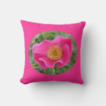 F23aw Rosa Silvestre