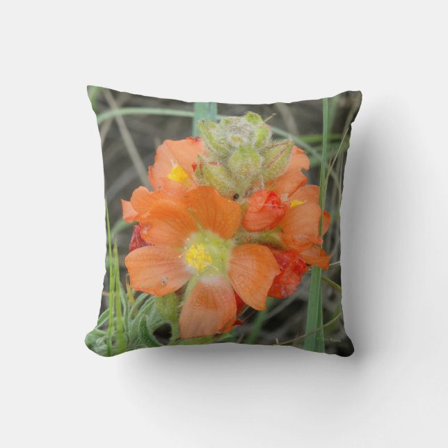 Almofada F40 Flores Silvestres Laranja Malva Escarlate (Frente)
