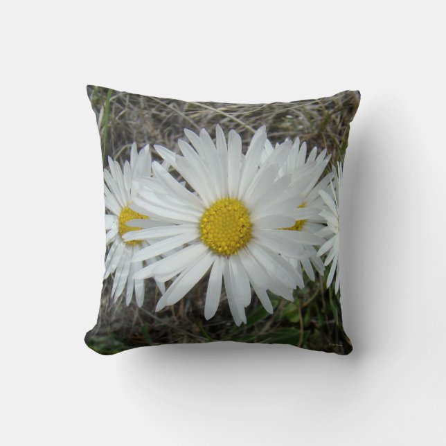 Almofada F42 Flores Silvestres Brancas Aster Suave (Frente)