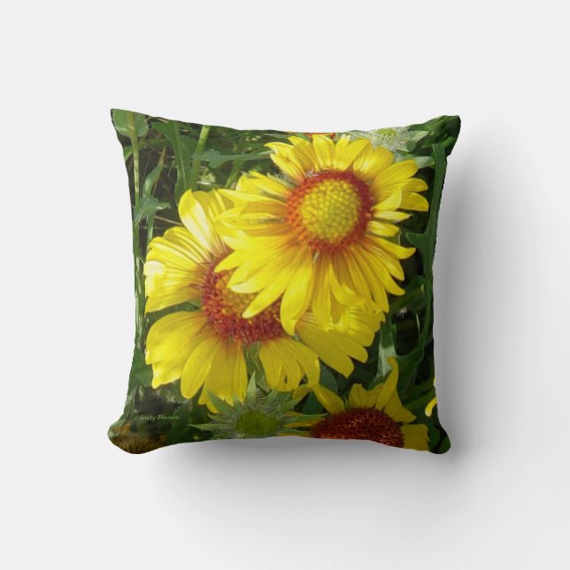 Almofada F6 Flores Silvestres Amarelas Gaillardia (Frente)