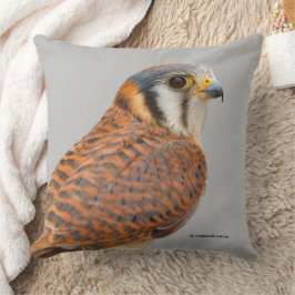 Almofada Falcão Americano Kestrel Sparrowhawwawk espantoso