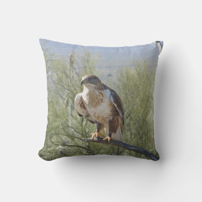 Almofada Falcão Ferruginous (Frente)
