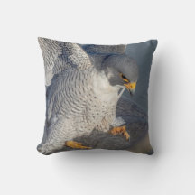 Falcão Peregrine ao longo do rio Hudson