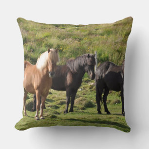 Almofada fazenda de cavalos rancho passeio esportes equinos