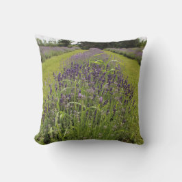 Almofada Fazenda de Lavanda de Seafoam