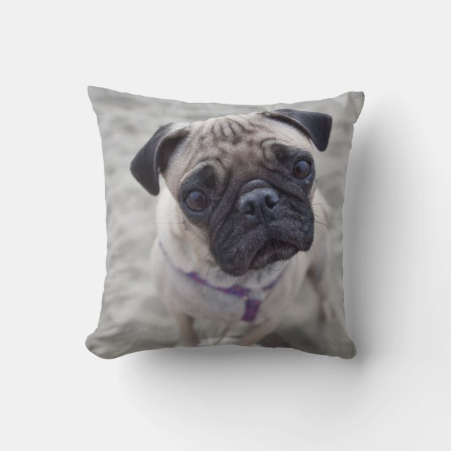 Almofada Fechamento do Pug (Frente)