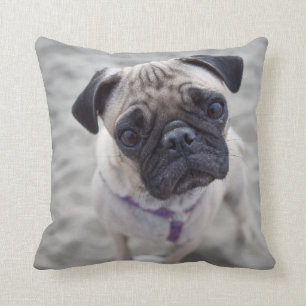 Almofada Fechamento do Pug