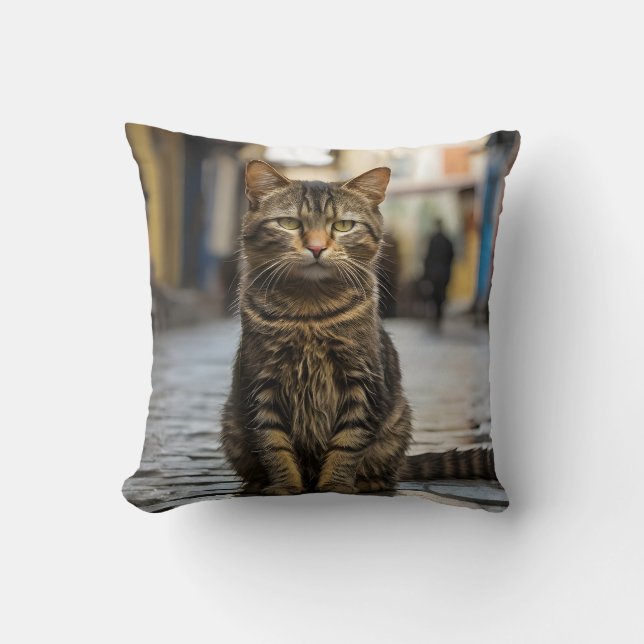 Almofada Fecho De Gato Fofo #2 (Frente)