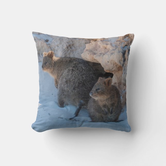 Almofada Feliz e Bonito Quokas na Praia (Frente)