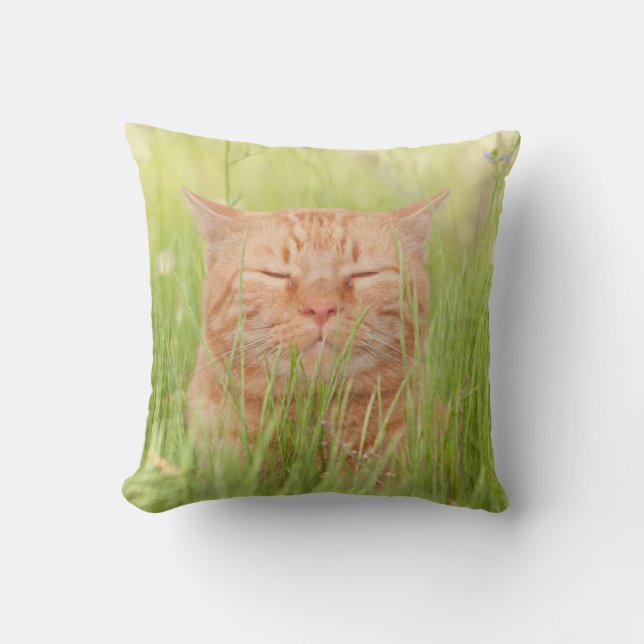 Almofada Feliz Gato Feliz (Frente)