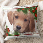 Almofada Feliz Natal para o ouro - Cachorro Bonito<br><div class="desc">Decorre sua casa nesta temporada de festas com este Ouro adorável, travesseiro de Natal de varejo e decoração correspondente. Este travesseiro de natal do Retriever de Ouro será um favorito entre os amantes do labrador. Visite nossa coleção para combinar cartões de natal de varejo de Ouro, decoração doméstica e presentes....</div>