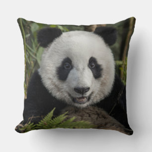 Almofada Feliz panda jovem, China
