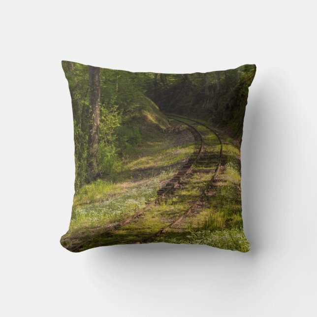 Almofada Ferrovia Abandonada Em Uma Floresta (Frente)