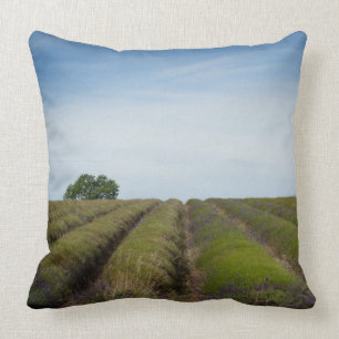 Almofada Fileiras da lavanda após o travesseiro decorativo