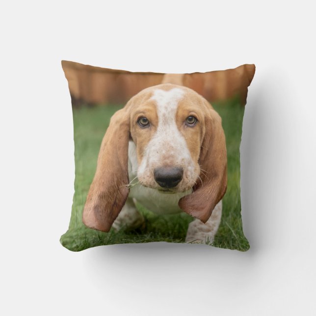 Almofada Filhote de Basset Hound andando (Frente)