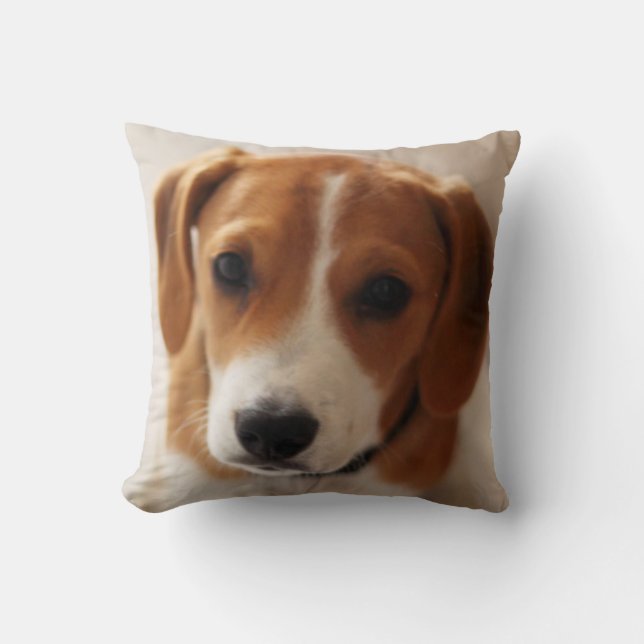 Almofada Filhote de cachorro 2 do lebreiro (Frente)