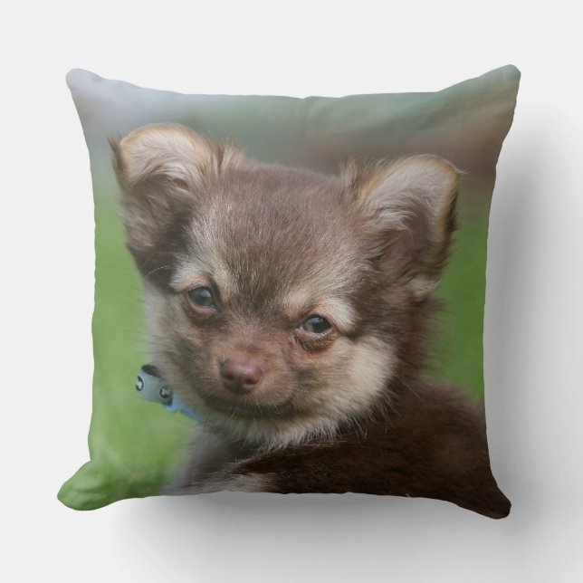 Almofada Filhote de cachorro de cabelos compridos da (Frente)