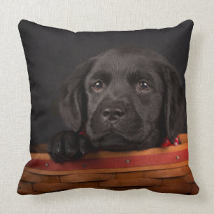 Almofada Filhote de cachorro preto de labrador retriever em