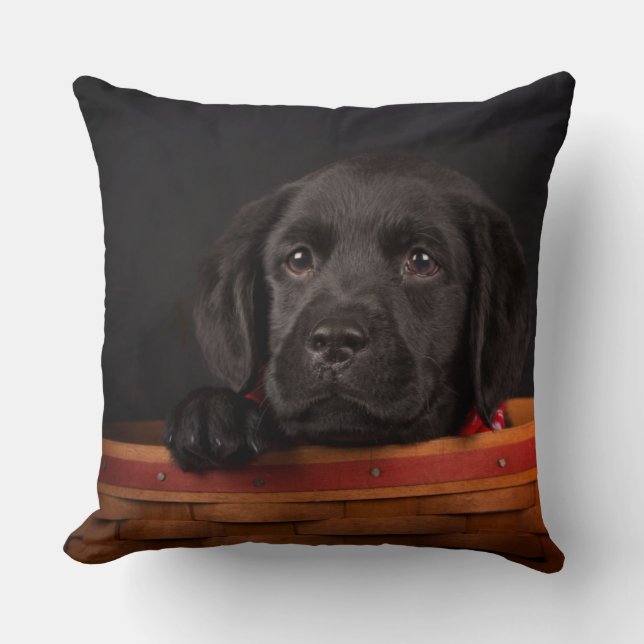 Almofada Filhote de cachorro preto de labrador retriever em (Frente)