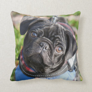 Almofada Filhote de cachorro preto do Pug que veste uma