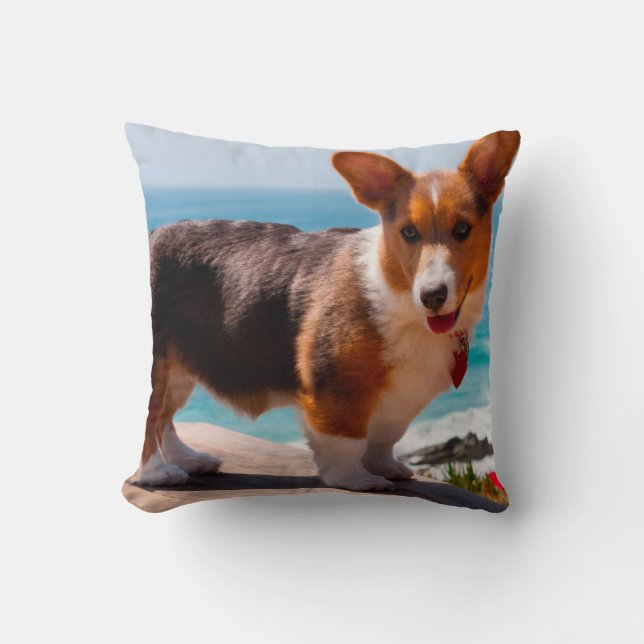 Almofada Filhote de Pembroke Welsh Corgi em pé na mesa (Frente)