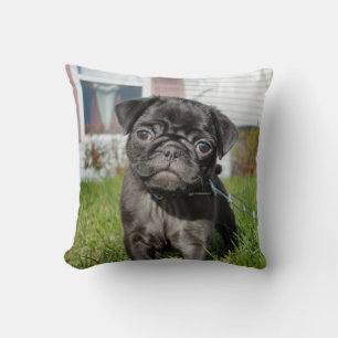 Almofada Filhote de pug preto